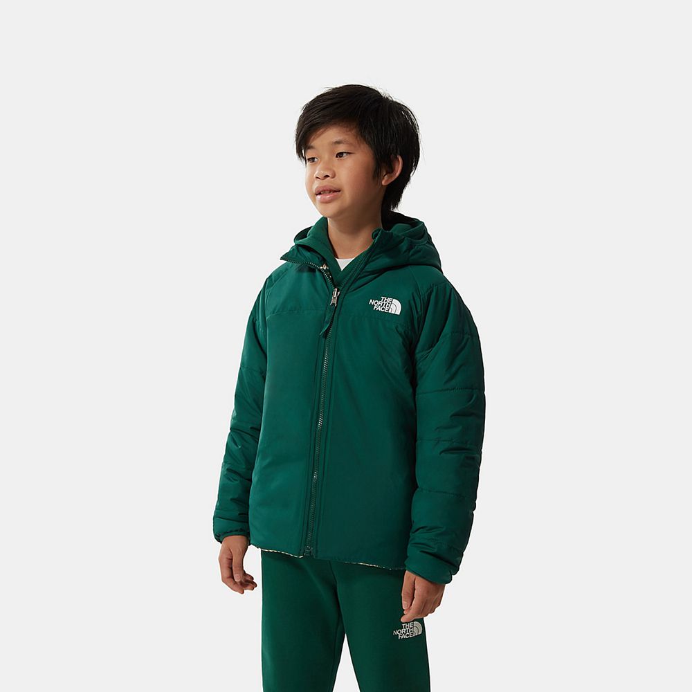 The North Face Jackets Boys Australia - The North Face Printed Reversible Perrito Green (NVF-062473)